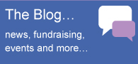 The Blog
